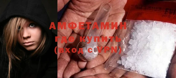 крисы Елабуга