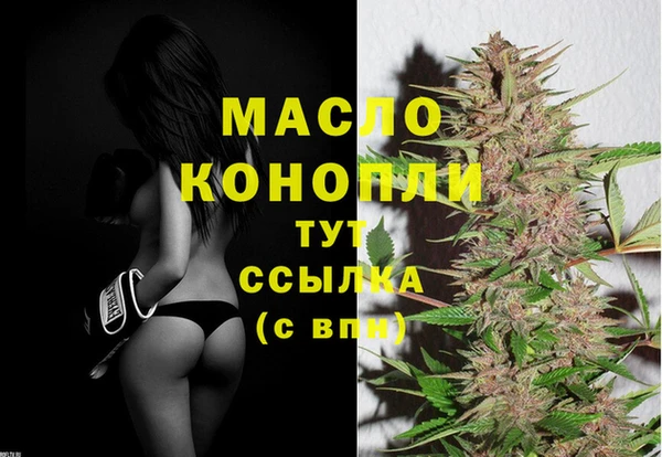 крисы Елабуга