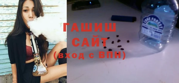 гашик Дмитров