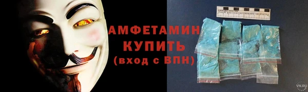 крисы Елабуга