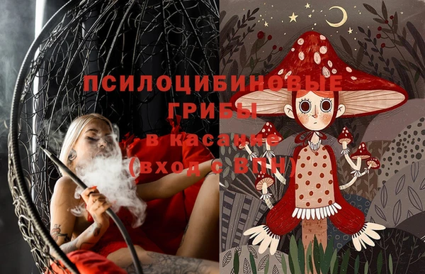 крисы Елабуга