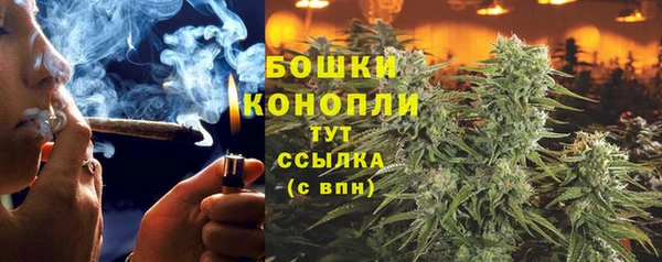 трава Дмитровск
