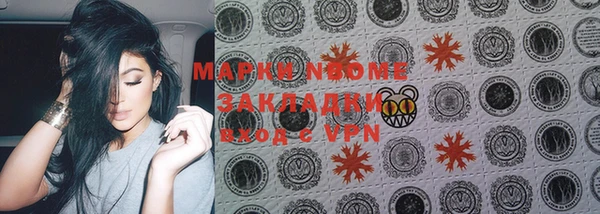 крисы Елабуга